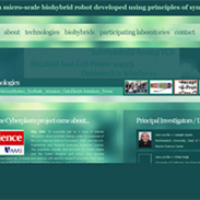 Northeastern University Cyberplasm thumb image